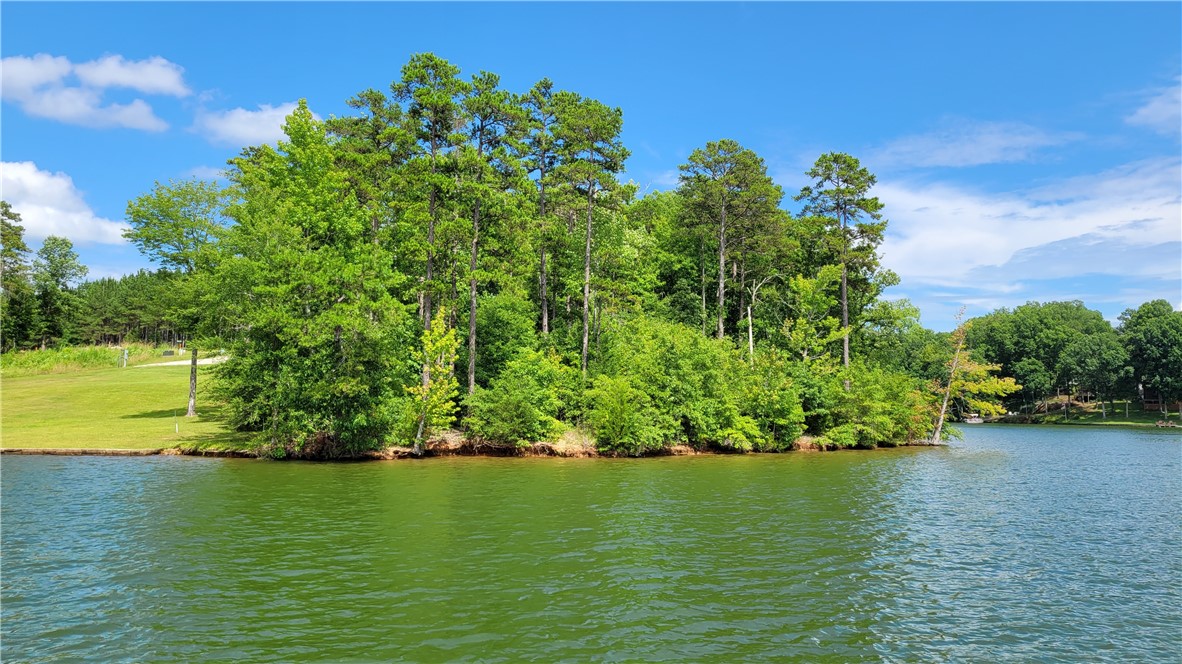 Lot 12 Creekpoint Drive, Abbeville, South Carolina image 12