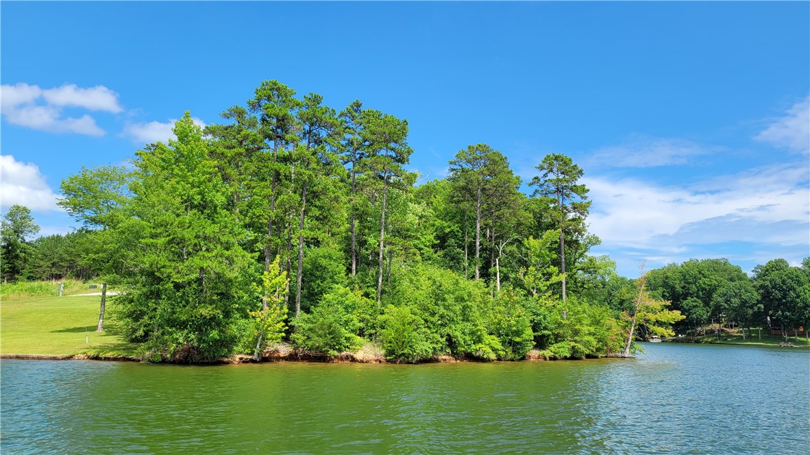 Lot 12 Creekpoint Drive, Abbeville, South Carolina image 13