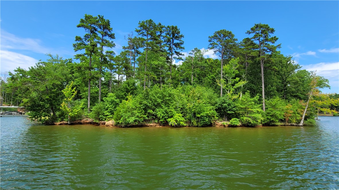 Lot 12 Creekpoint Drive, Abbeville, South Carolina image 4