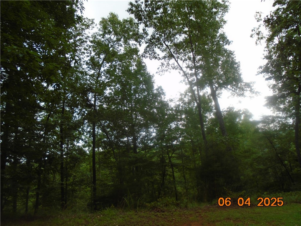 1000 E Cedar Creek Road Road, Sunset, South Carolina image 11