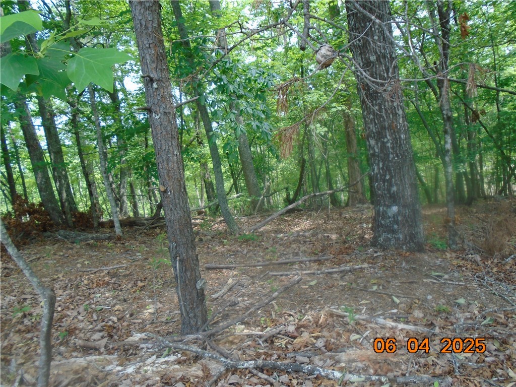 1000 E Cedar Creek Road Road, Sunset, South Carolina image 6