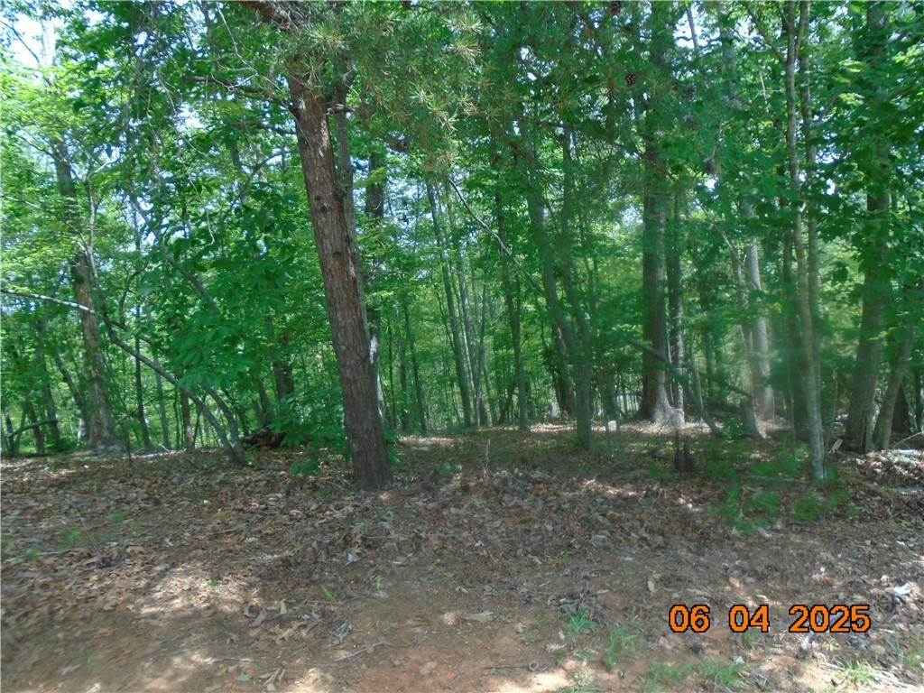 1000 E Cedar Creek Road Road, Sunset, South Carolina image 16