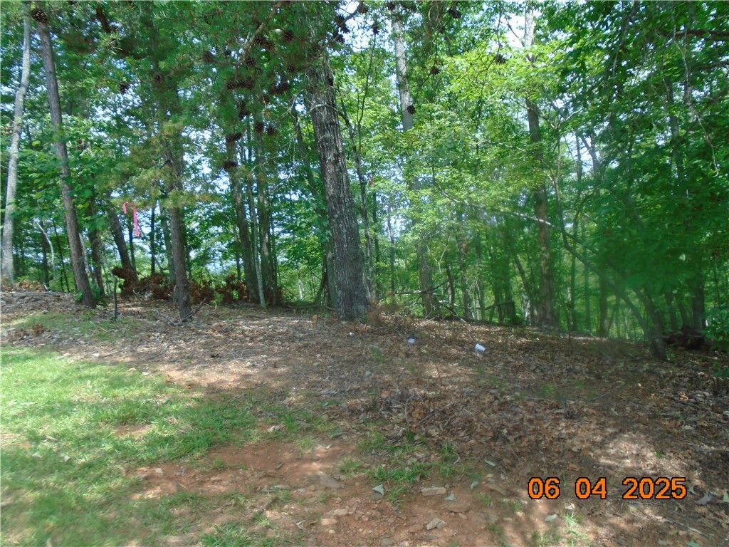 1000 E Cedar Creek Road Road, Sunset, South Carolina image 17