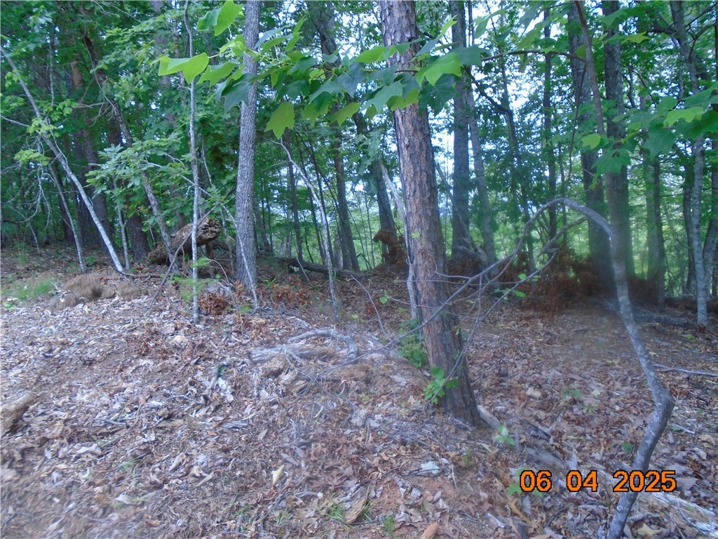 1000 E Cedar Creek Road Road, Sunset, South Carolina image 7