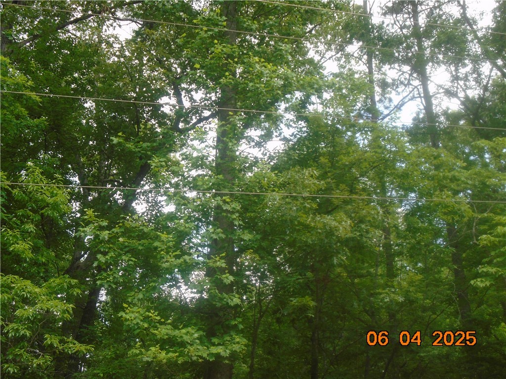 1000 E Cedar Creek Road Road, Sunset, South Carolina image 13