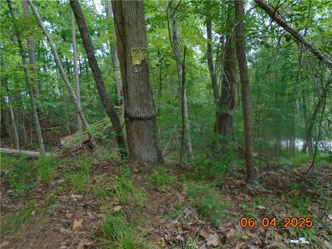 Vacant Land For Sale - 1000 E Cedar Creek Road Road<br/> Pickens County, Sunset, SC 29685