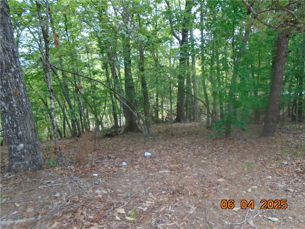 1000 E Cedar Creek Road Road, Sunset, South Carolina image 8