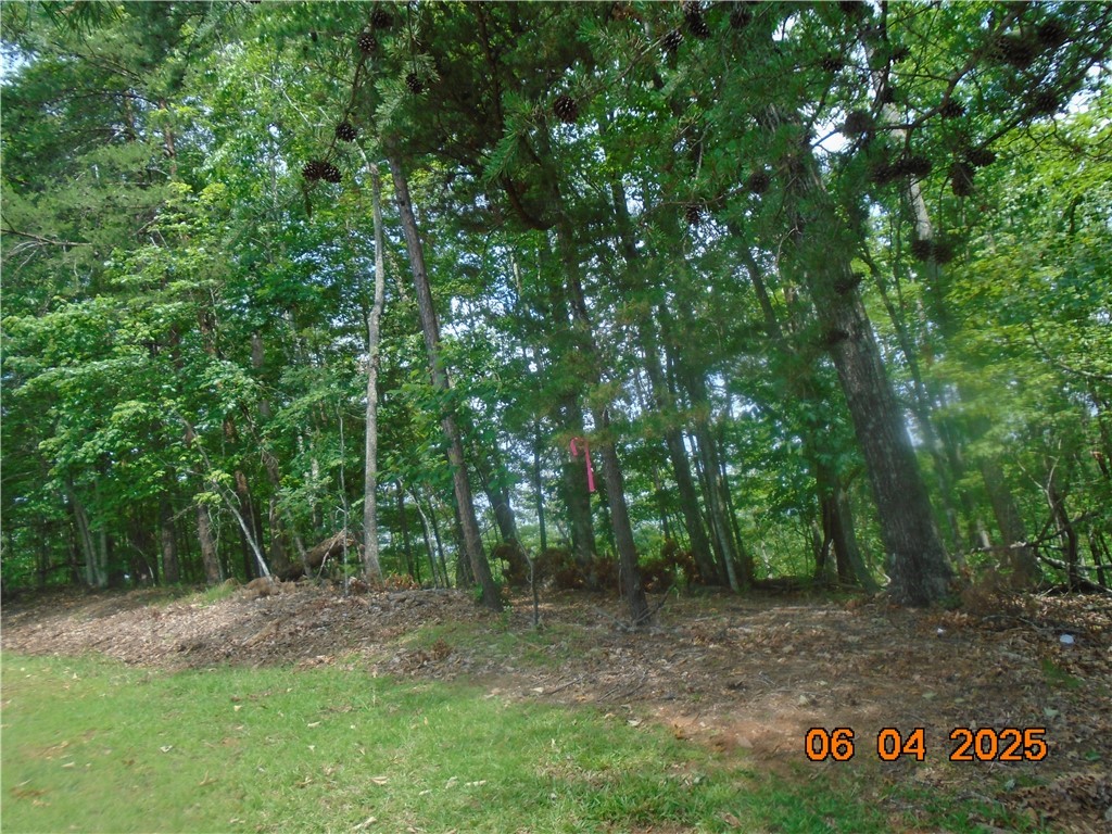 1000 E Cedar Creek Road Road, Sunset, South Carolina image 18