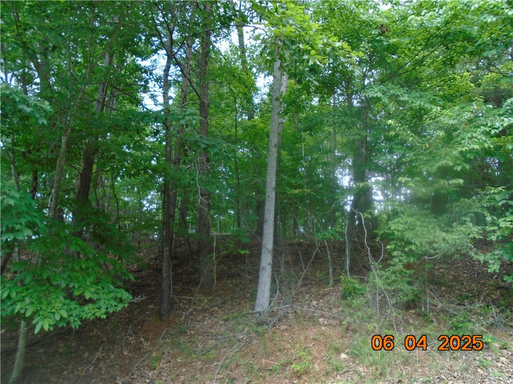 1000 E Cedar Creek Road Road, Sunset, South Carolina image 15