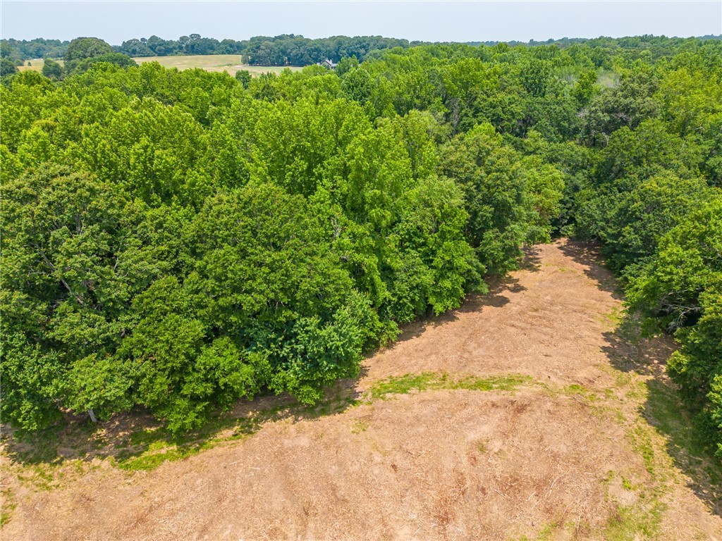 1308 Breazeale Road, Belton, South Carolina image 14