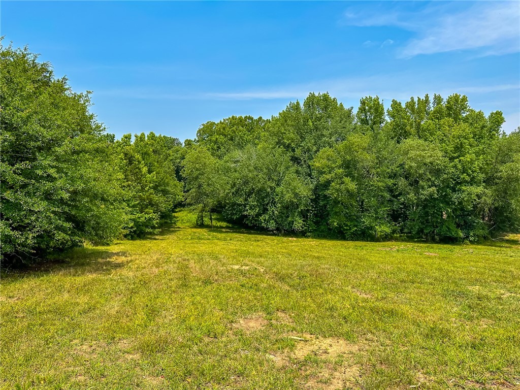 1308 Breazeale Road, Belton, South Carolina image 42