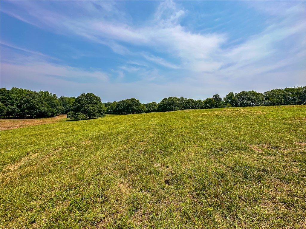 1308 Breazeale Road, Belton, South Carolina image 50