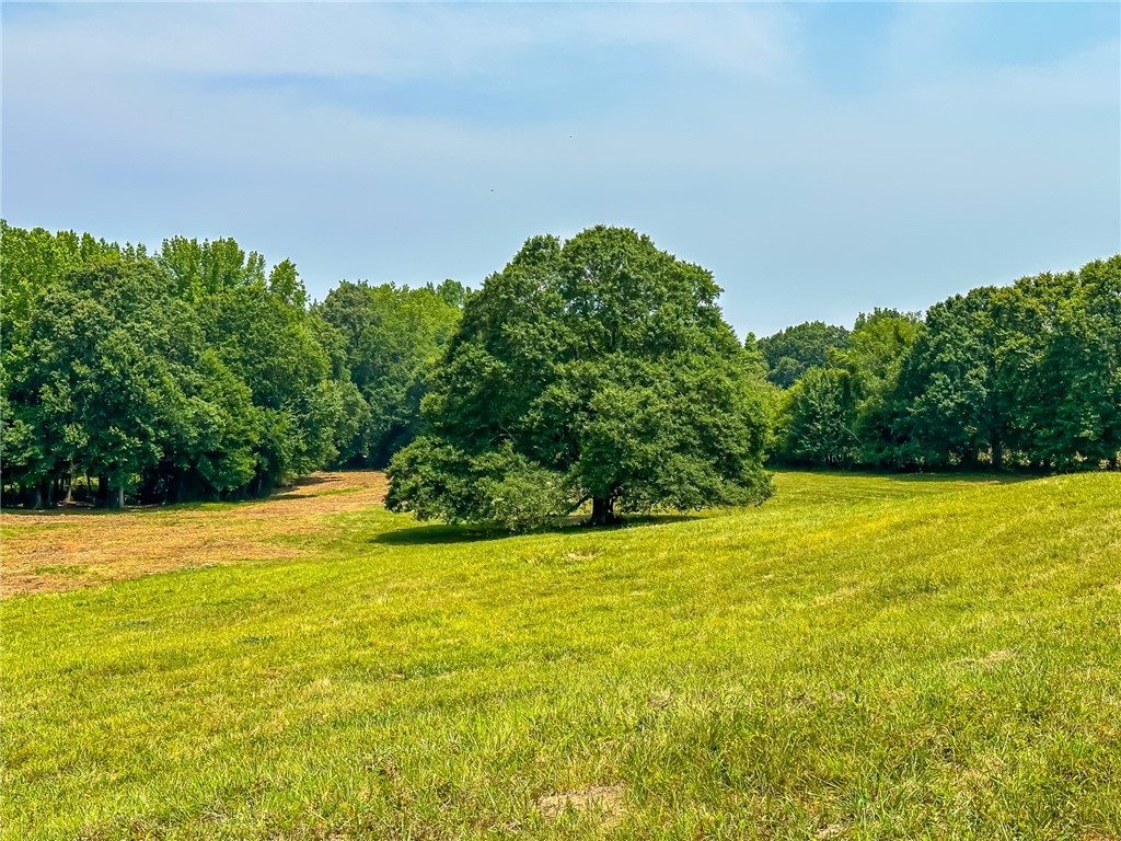 1308 Breazeale Road, Belton, South Carolina image 47