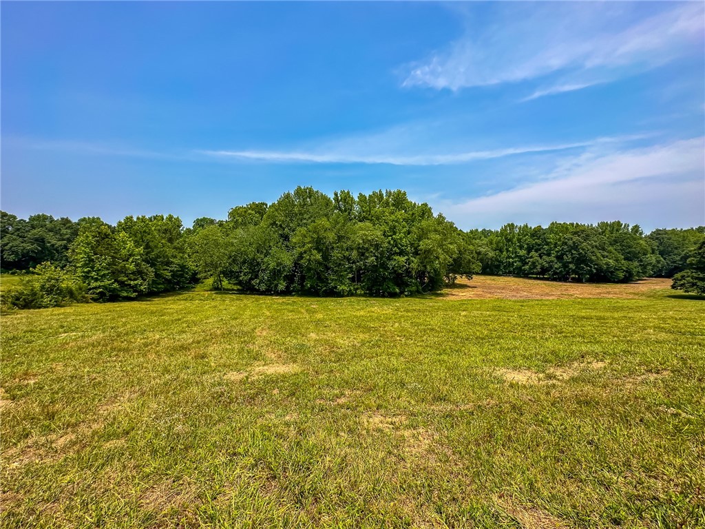 1308 Breazeale Road, Belton, South Carolina image 49