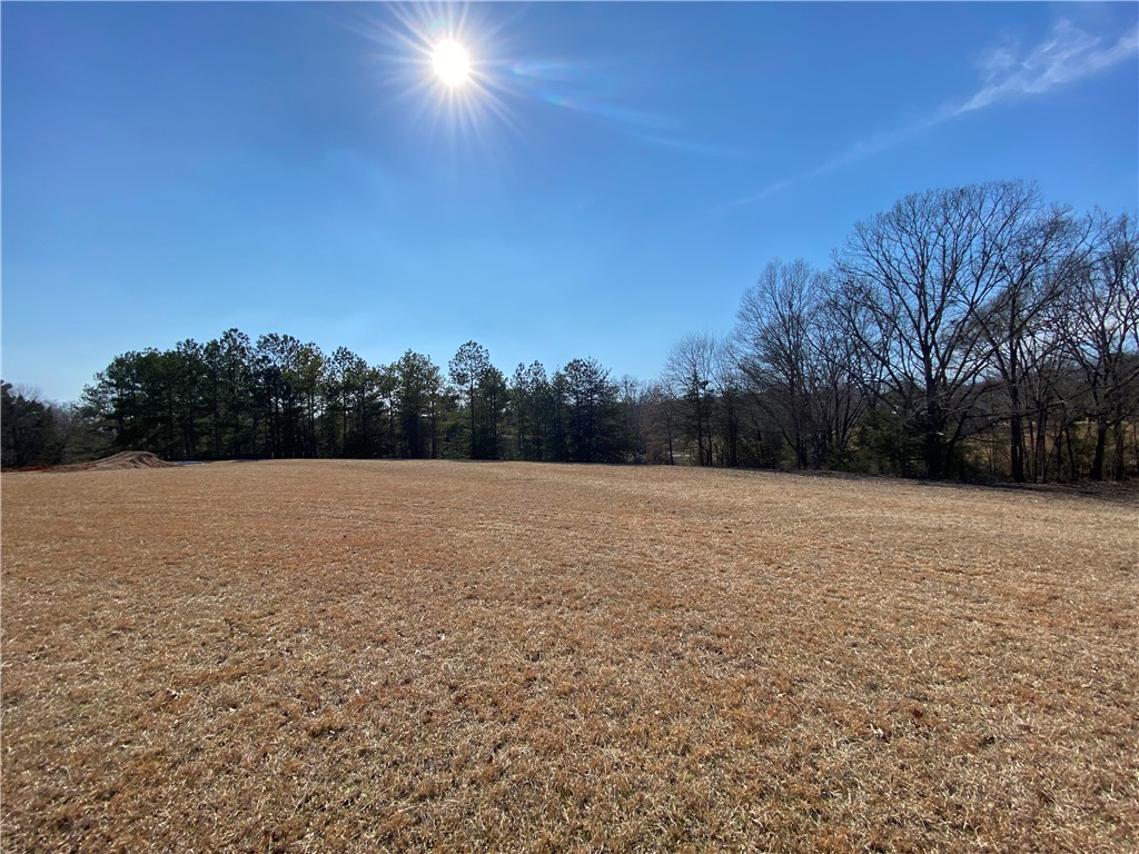 Lot 16 Majestic Shores, Hartwell, Georgia image 1