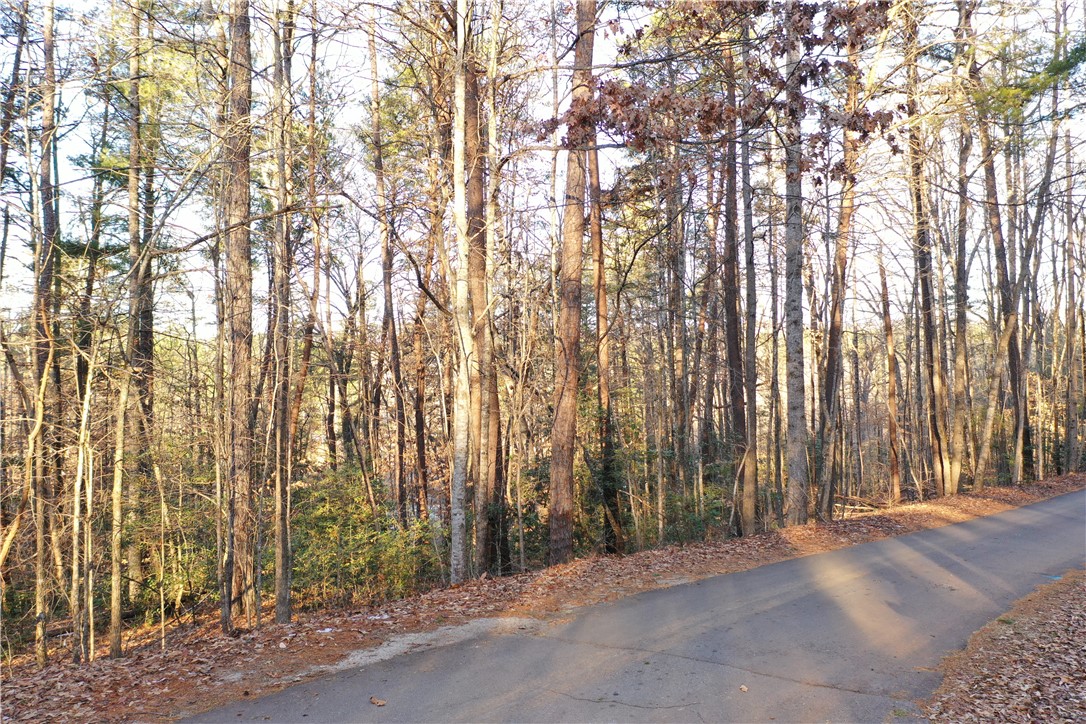 613 The Bear Boulevard, Tamassee, South Carolina image 1
