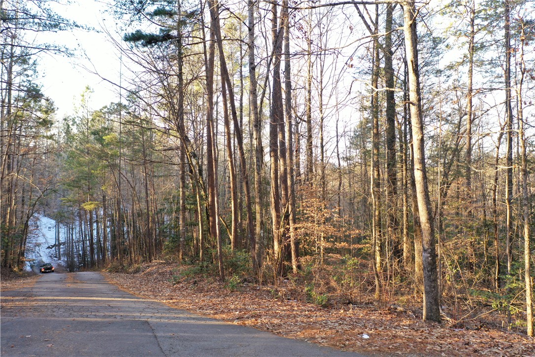 613 The Bear Boulevard, Tamassee, South Carolina image 3