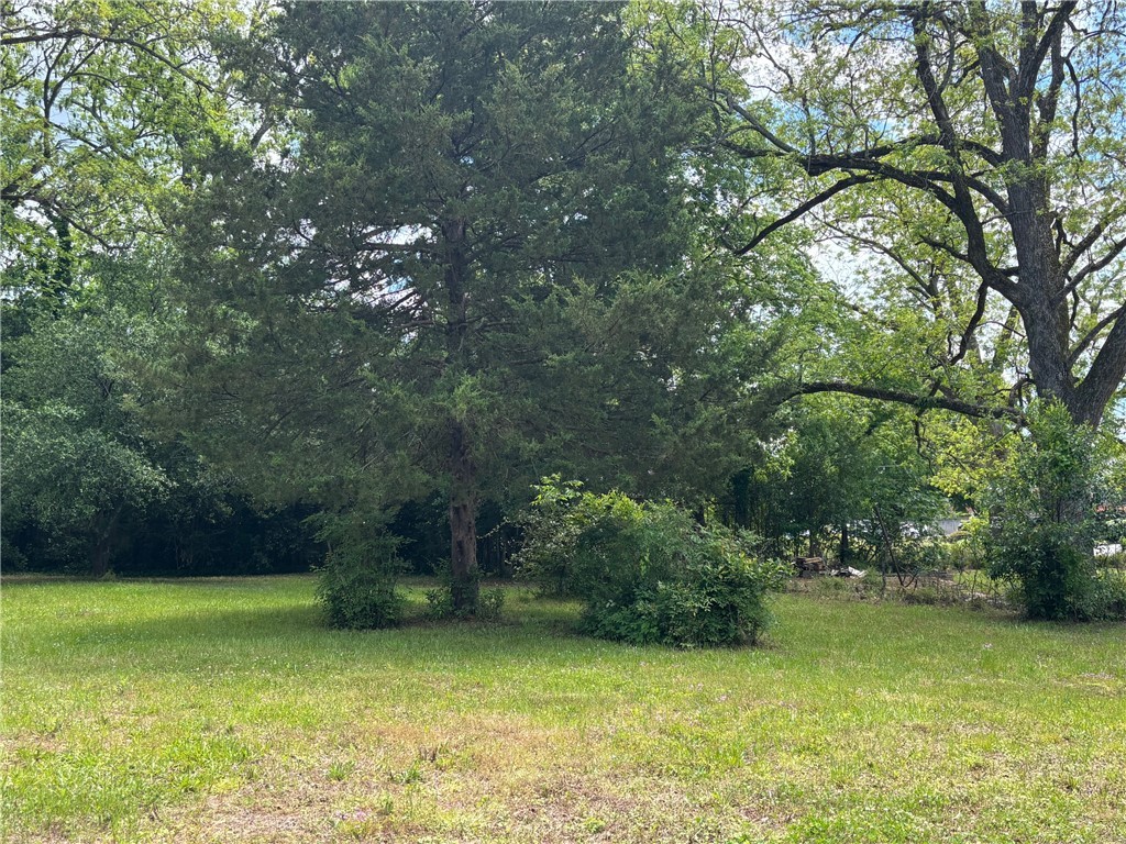 104 Henry M Turner Street, Abbeville, South Carolina image 7