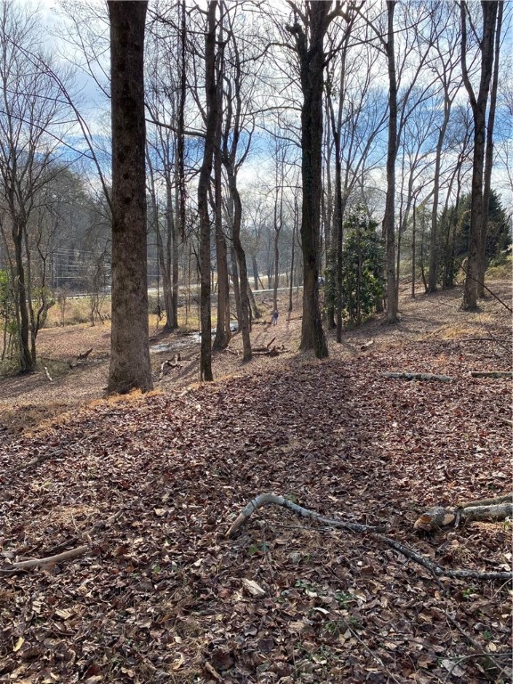 00 Harry Davis Drive, Liberty, South Carolina image 13