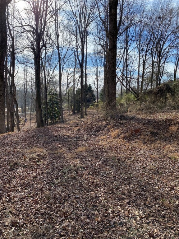 00 Harry Davis Drive, Liberty, South Carolina image 15