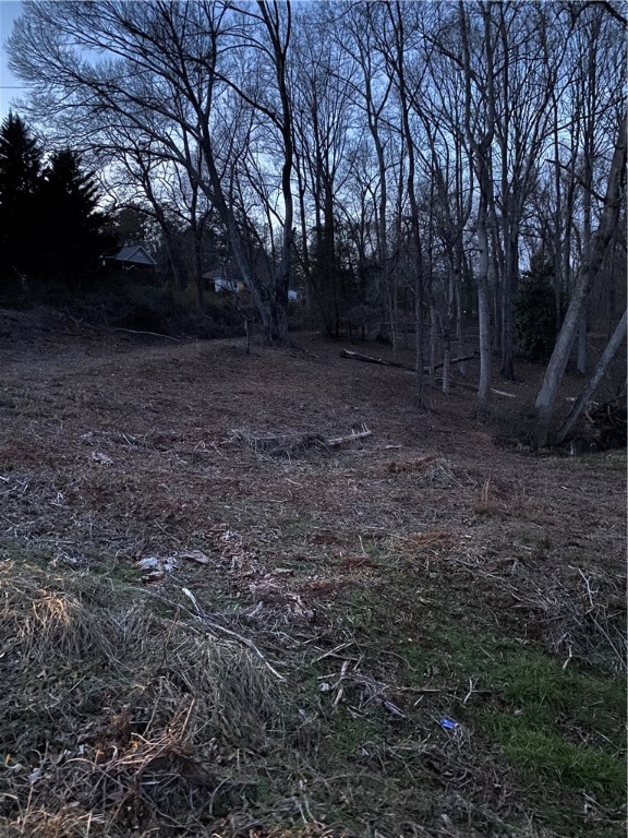 00 Harry Davis Drive, Liberty, South Carolina image 21
