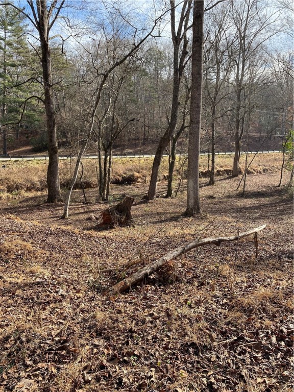 00 Harry Davis Drive, Liberty, South Carolina image 12