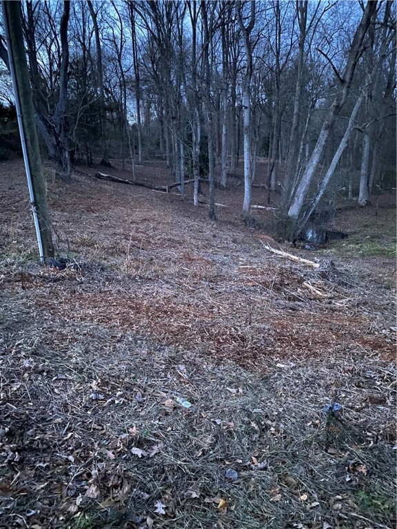 00 Harry Davis Drive, Liberty, South Carolina image 20