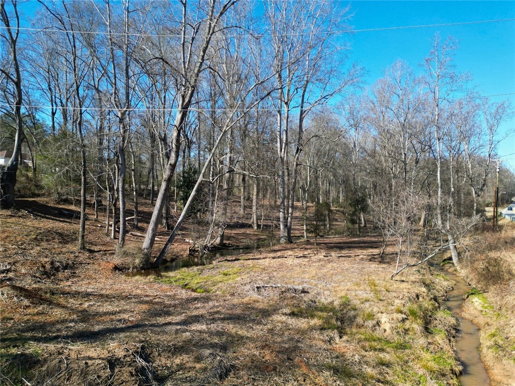 00 Harry Davis Drive, Liberty, South Carolina image 7