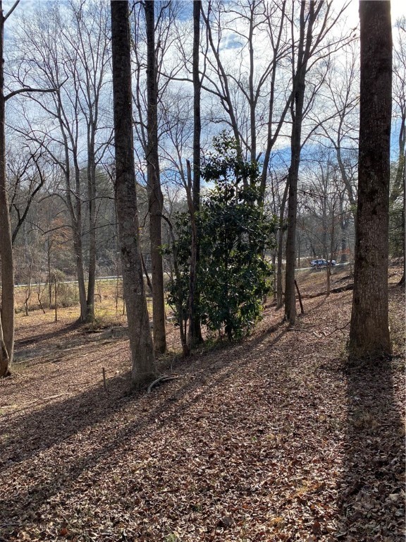 00 Harry Davis Drive, Liberty, South Carolina image 14