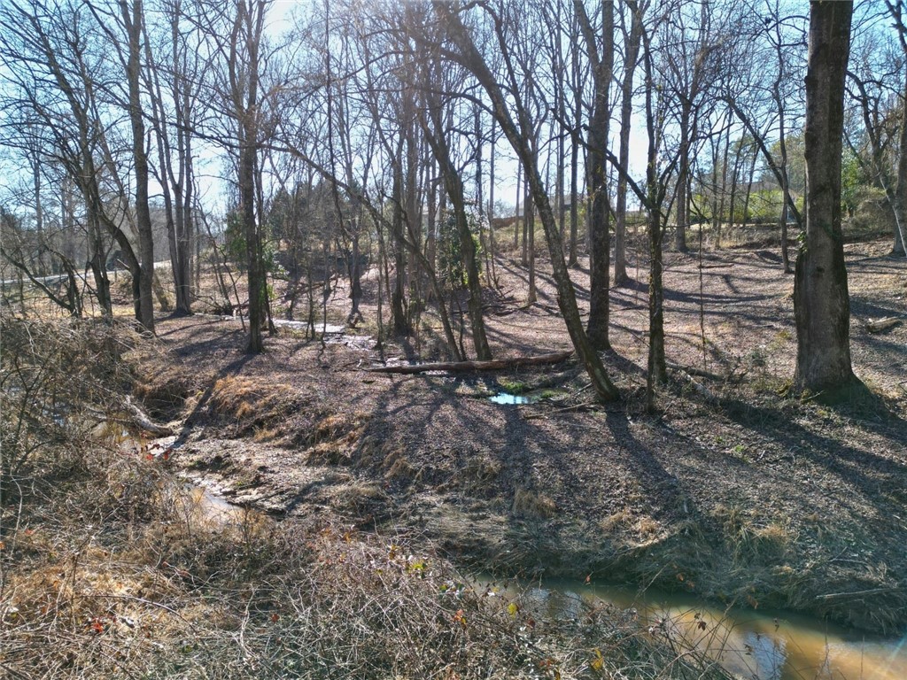 00 Harry Davis Drive, Liberty, South Carolina image 25