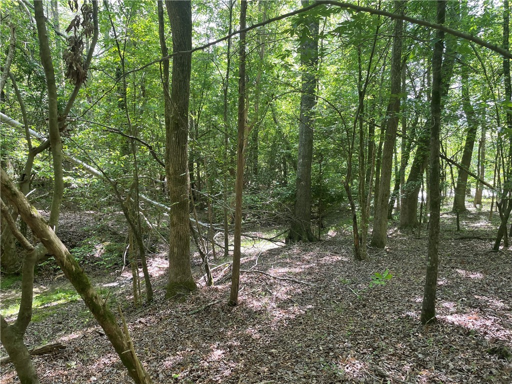 00 Lincoln Road, Gray Court, South Carolina image 5