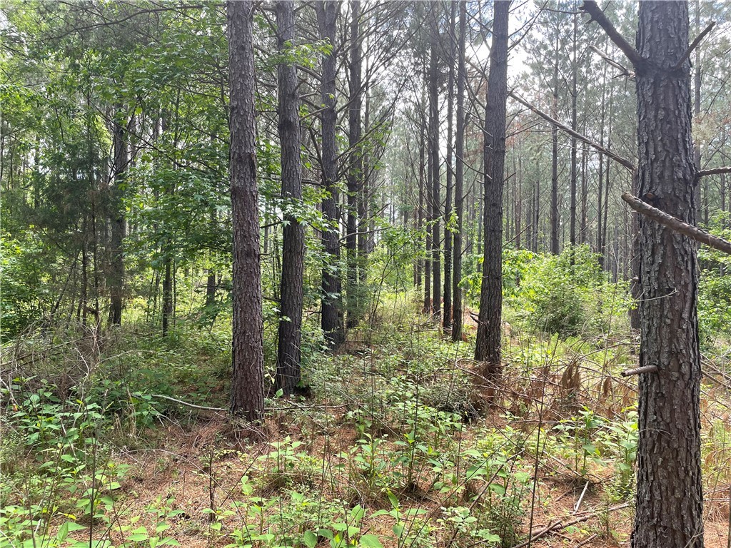 00 Lincoln Road, Gray Court, South Carolina image 6