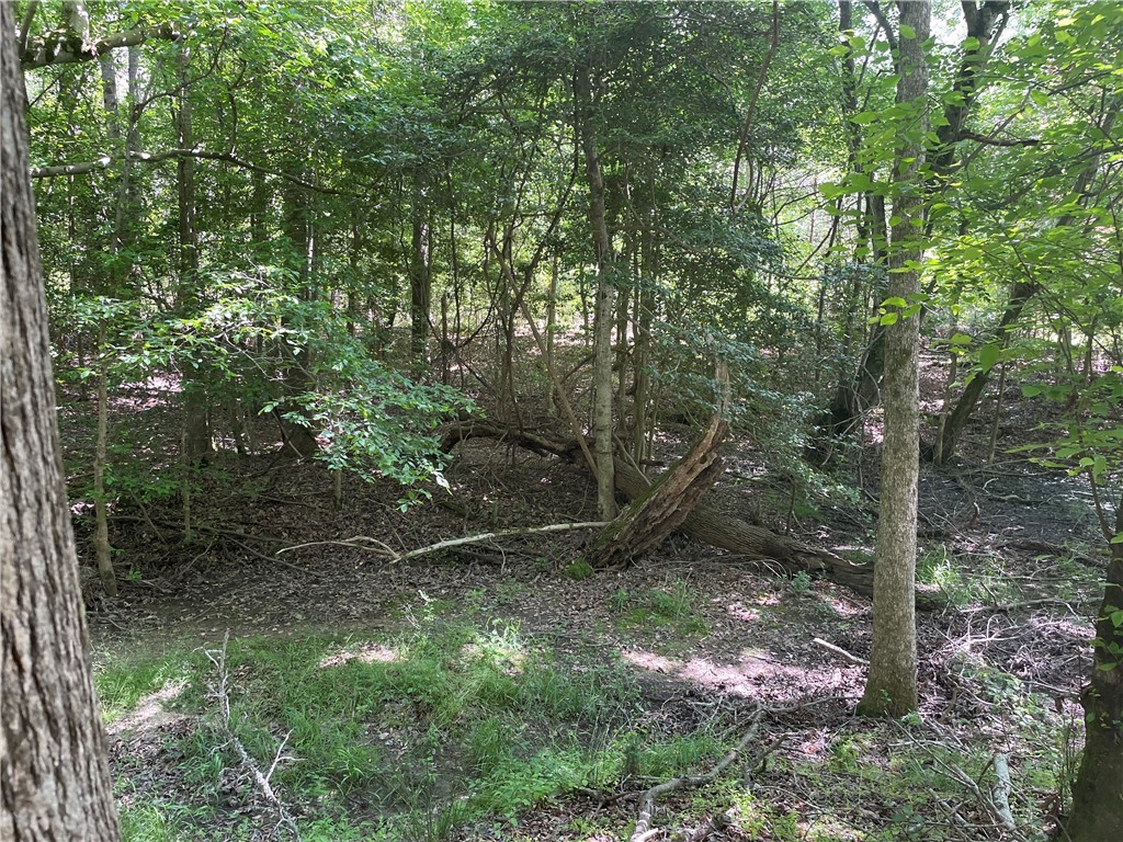 00 Lincoln Road, Gray Court, South Carolina image 3