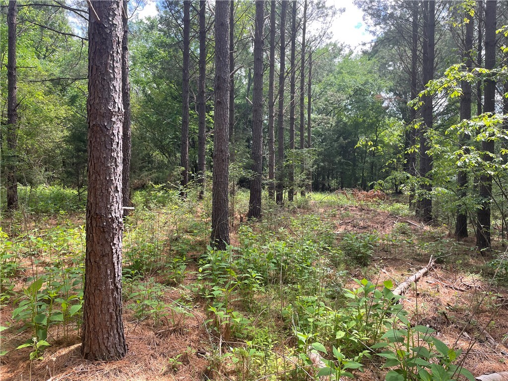 00 Lincoln Road, Gray Court, South Carolina image 7