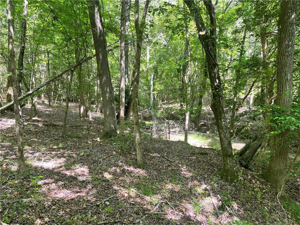00 Lincoln Road, Gray Court, South Carolina image 4