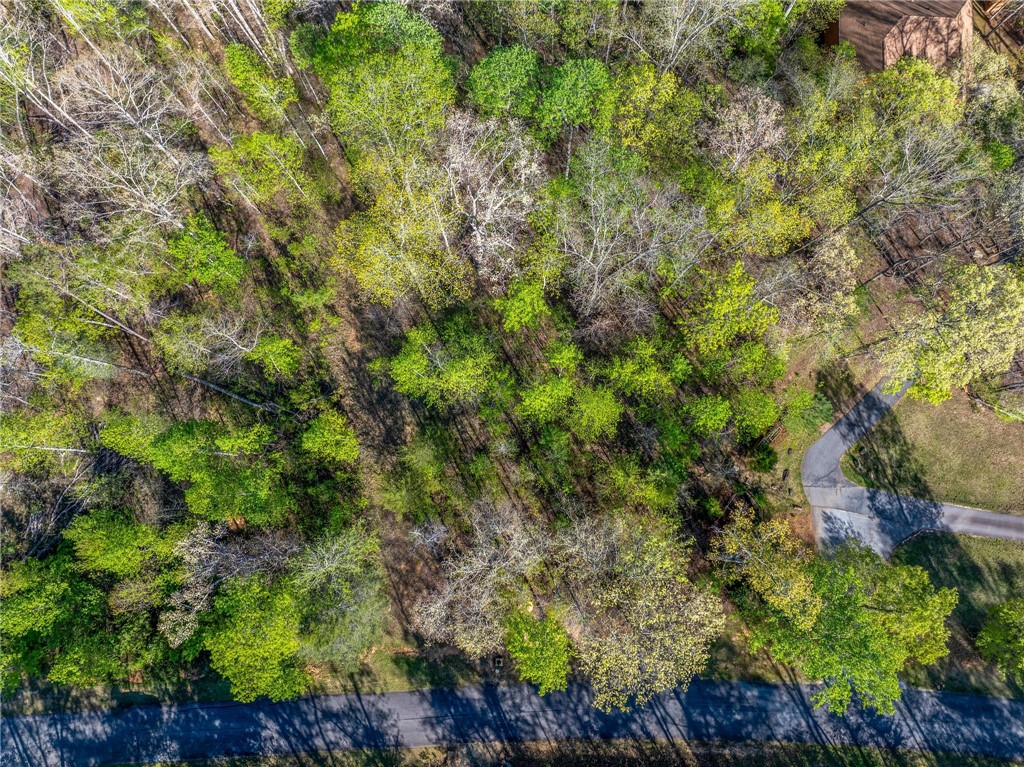 120 Julie Way, Pickens, South Carolina image 6