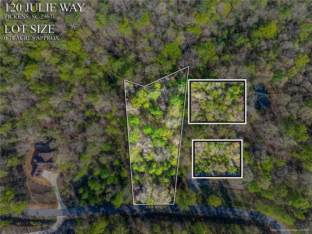 120 Julie Way, Pickens, South Carolina image 5