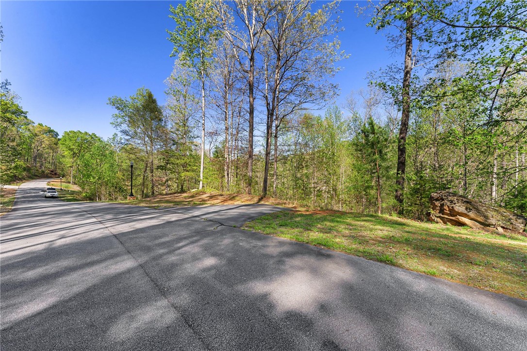 120 Julie Way, Pickens, South Carolina image 1