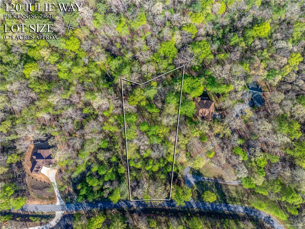 120 Julie Way, Pickens, South Carolina image 3