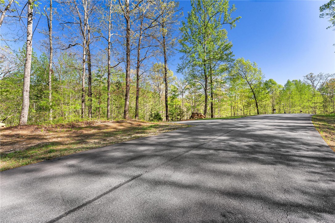 120 Julie Way, Pickens, South Carolina image 2