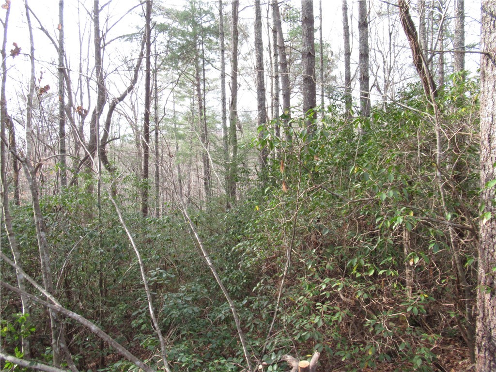 213 Falcon Crest Way, Pickens, South Carolina image 4