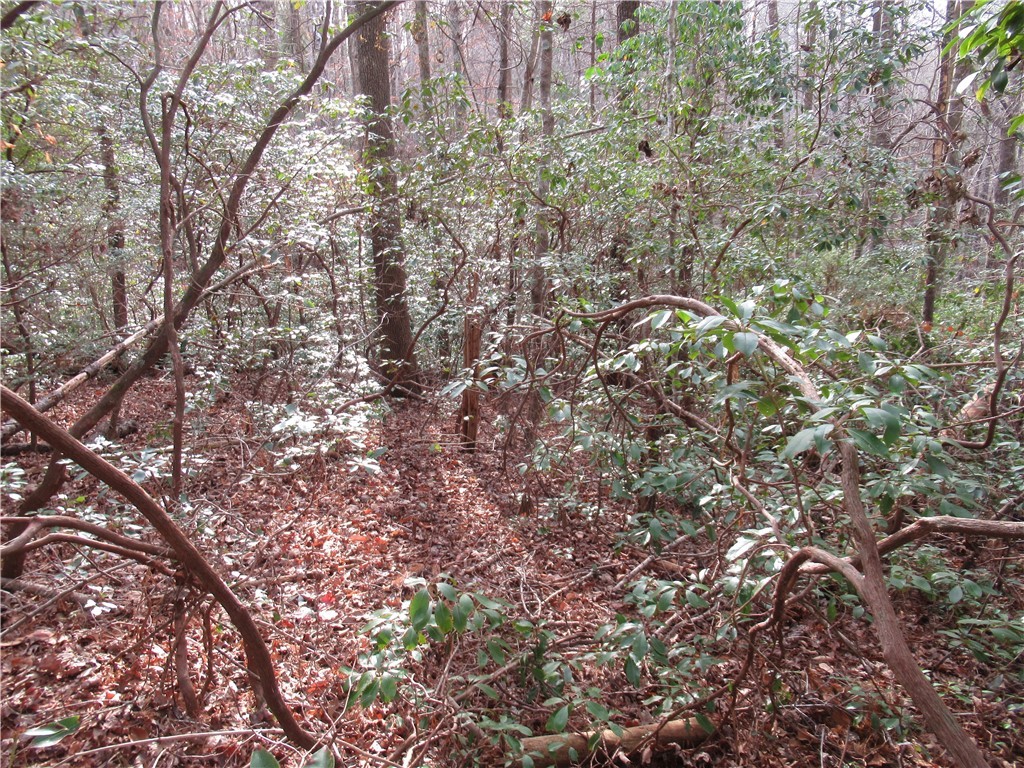 213 Falcon Crest Way, Pickens, South Carolina image 7