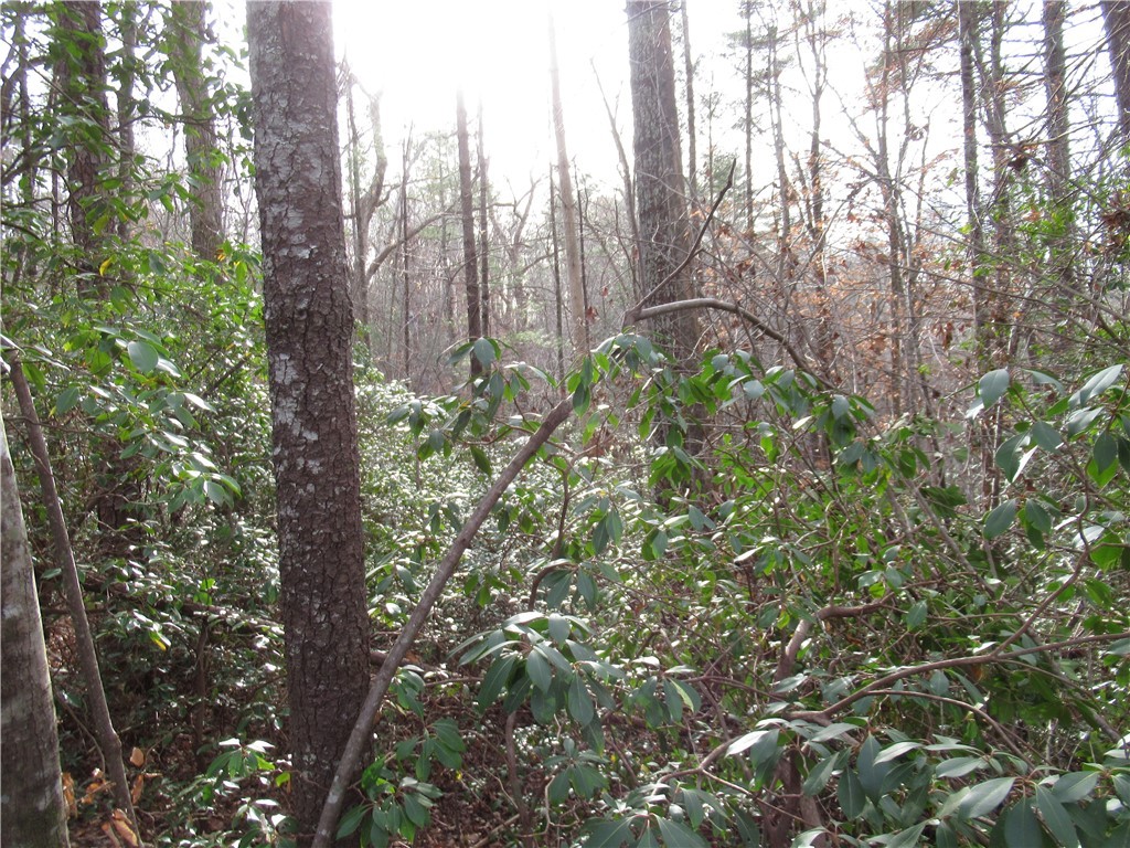 213 Falcon Crest Way, Pickens, South Carolina image 3