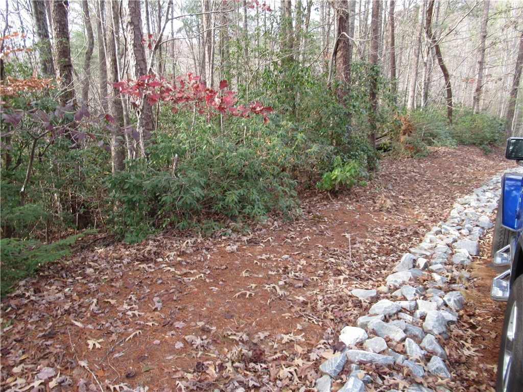 213 Falcon Crest Way, Pickens, South Carolina image 2