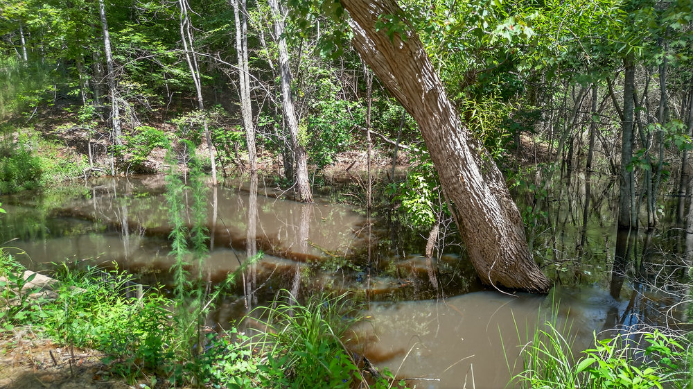 Belton, South Carolina 29627, United States, ,Residential,Active,164307