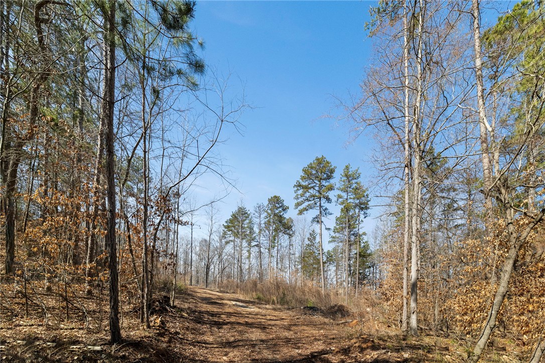 209 Starlight Lane, Fair Play, South Carolina image 8