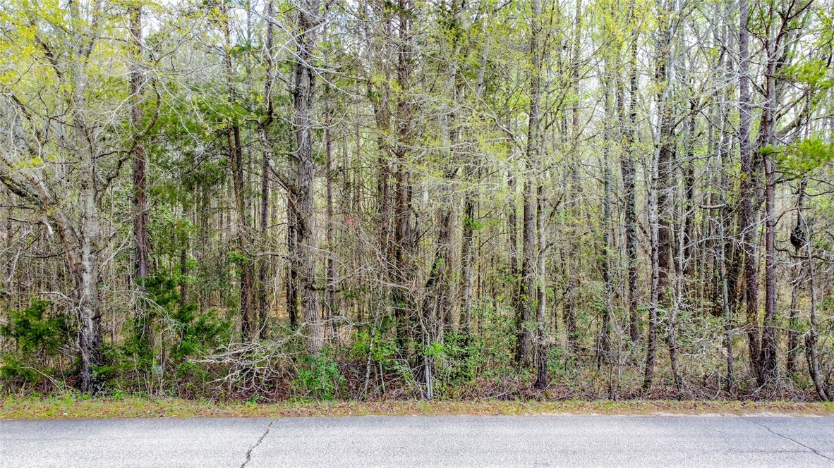 Finley Road, Belton, South Carolina image 2
