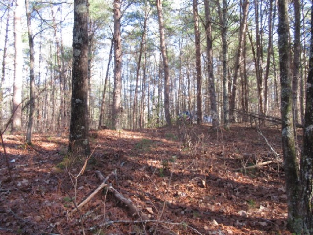 Lot 10 Sweet Shrub Court, Sunset, South Carolina image 14
