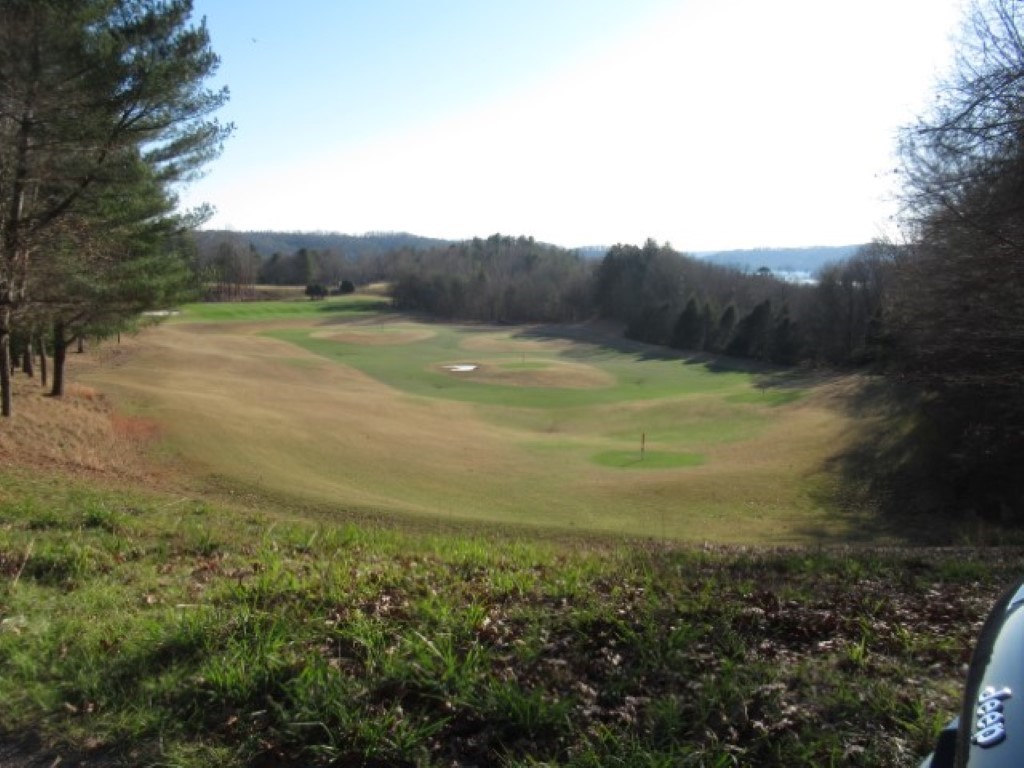 Lot 10 Sweet Shrub Court, Sunset, South Carolina image 20