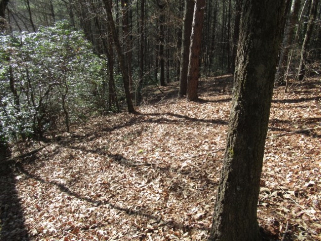 Lot 10 Sweet Shrub Court, Sunset, South Carolina image 8